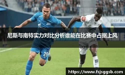 尼斯与南特实力对比分析谁能在比赛中占据上风